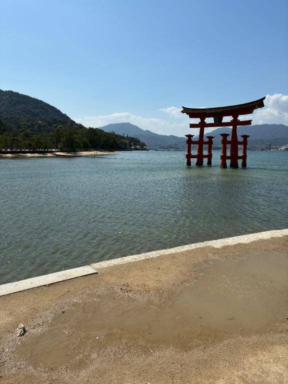 いかがお過ごしですか