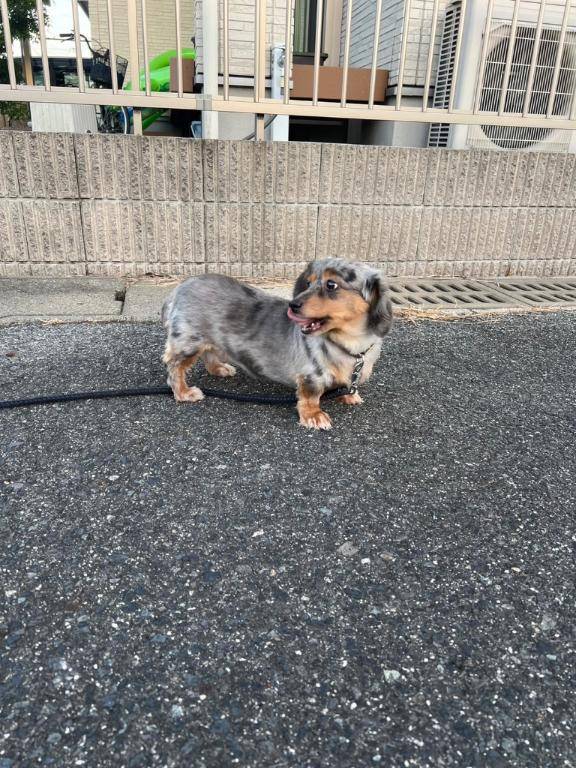 シルクロードのお兄さん