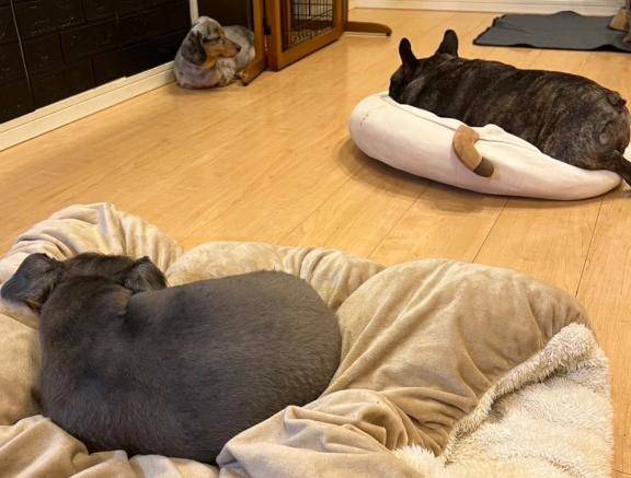 やっちゃった...