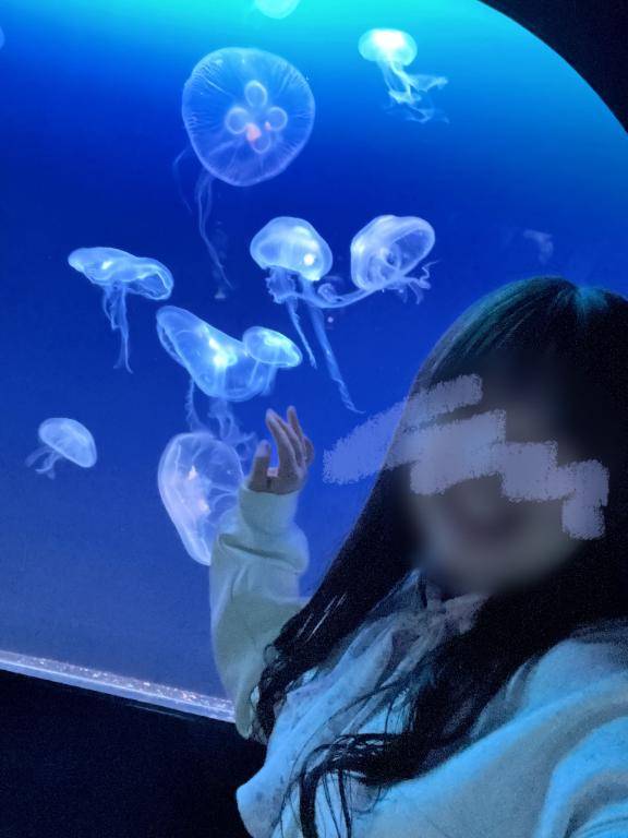 ??24時間限定??
