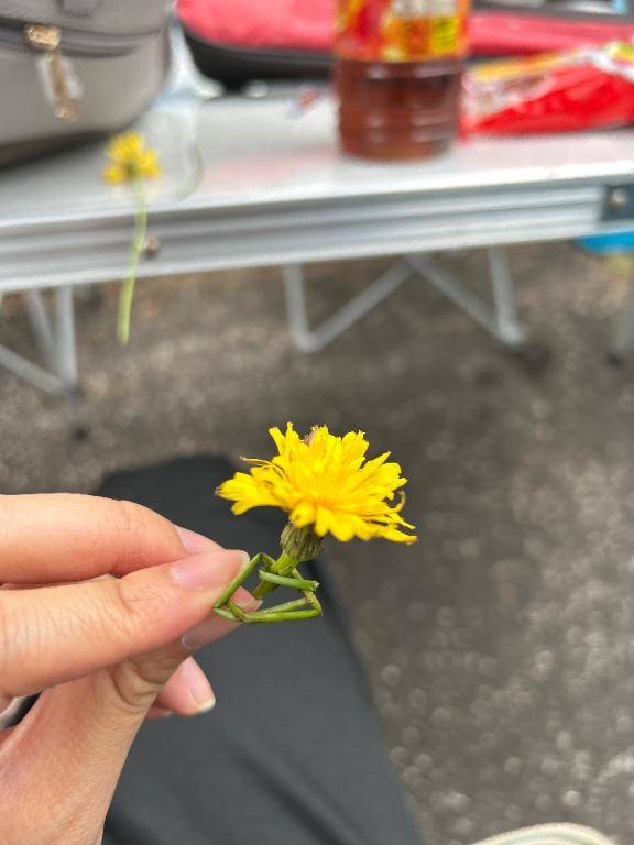 あしたの出勤（ごめんなさい）