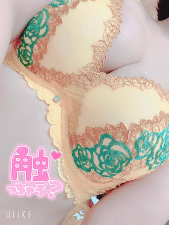 趣味の一つ
