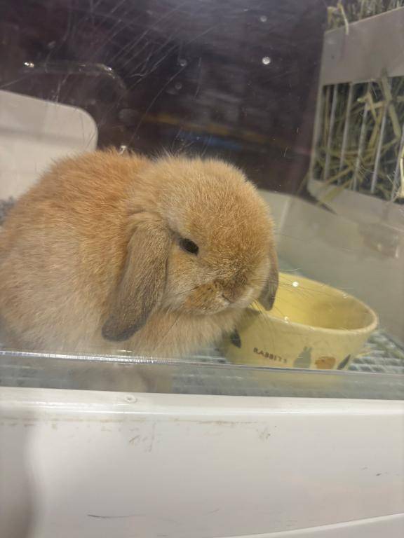 出勤してます?