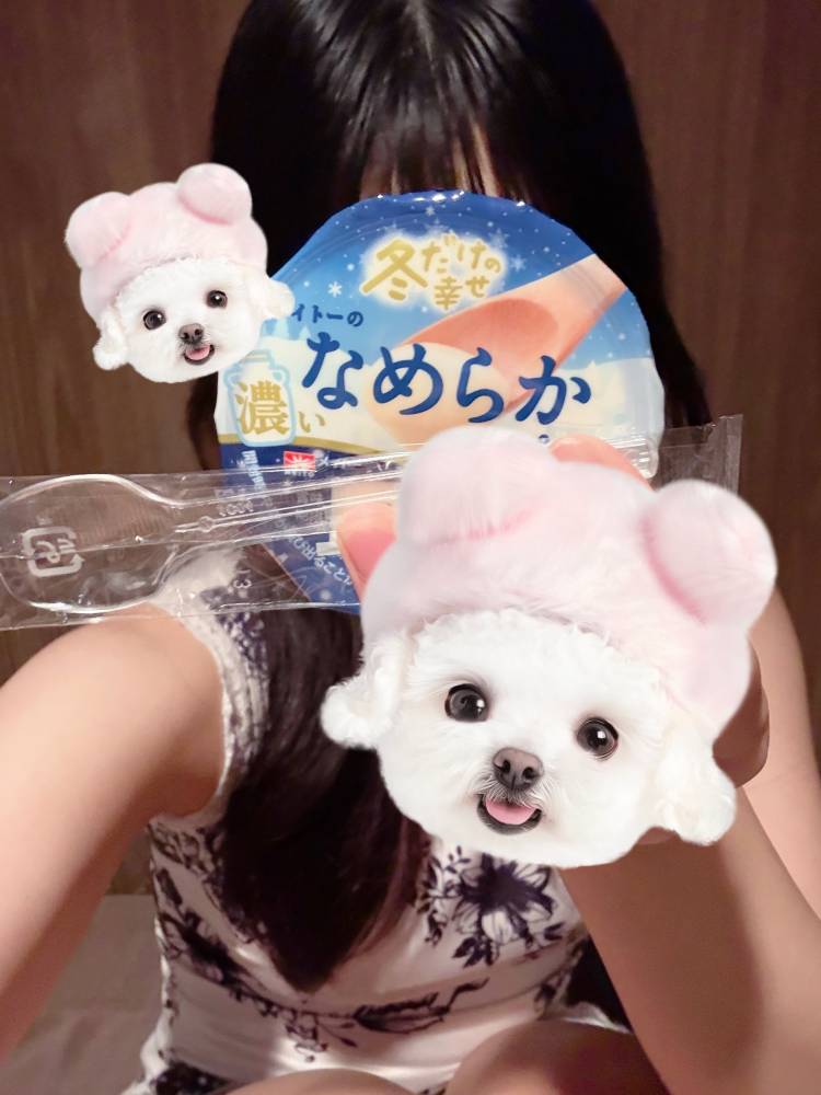 しゅっきーん𖤐´-