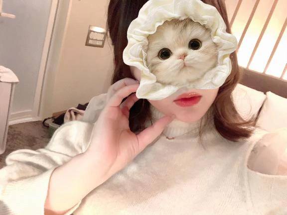 テロ