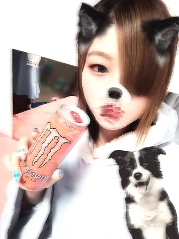 …準備中🐈‍⬛