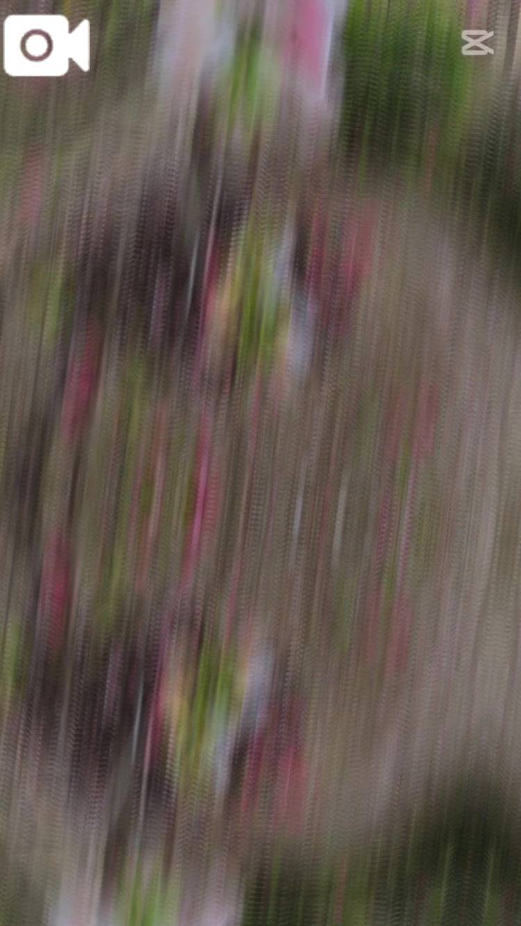 TODAY︎☆。.:＊・゜💕