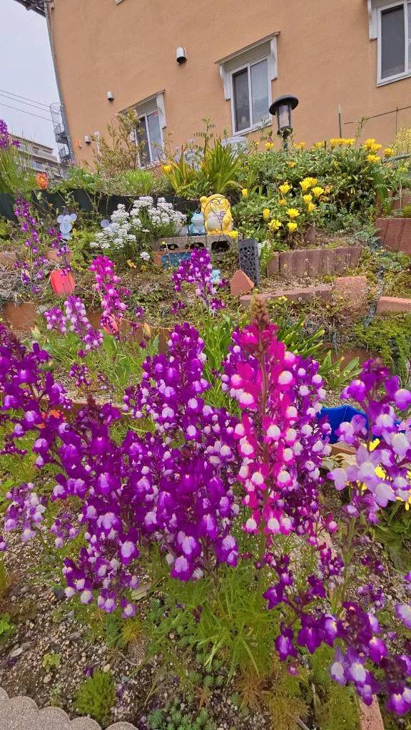 そのFlowerﾟ･*:.｡❁