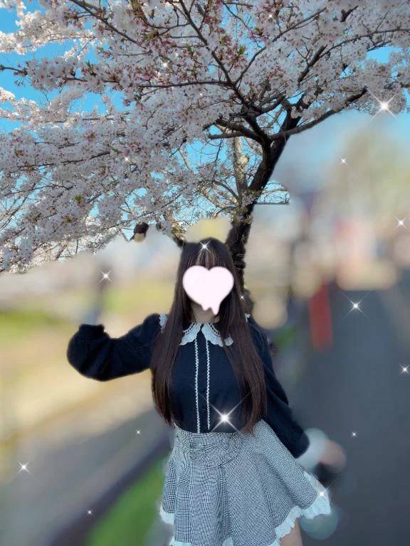 🌸 イってきたヨ 🍡