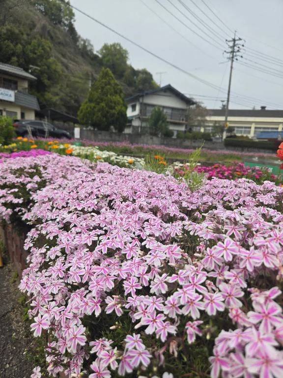 Flowerに癒されたい︎💕･*:.｡❁