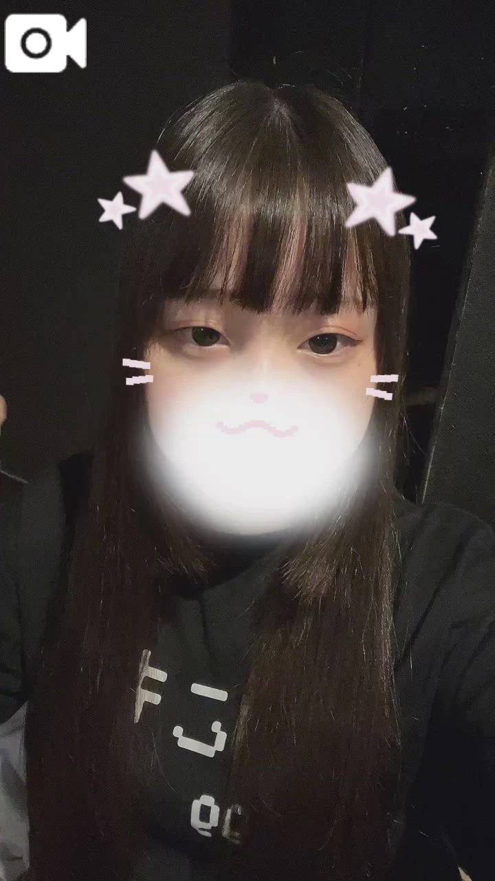 🐶 退勤わんわん 🐾