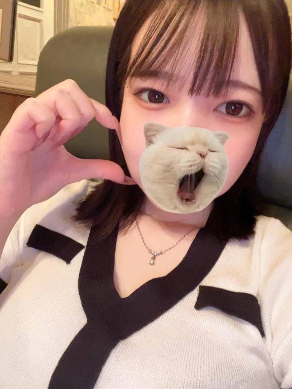 事前予約特典有‼️