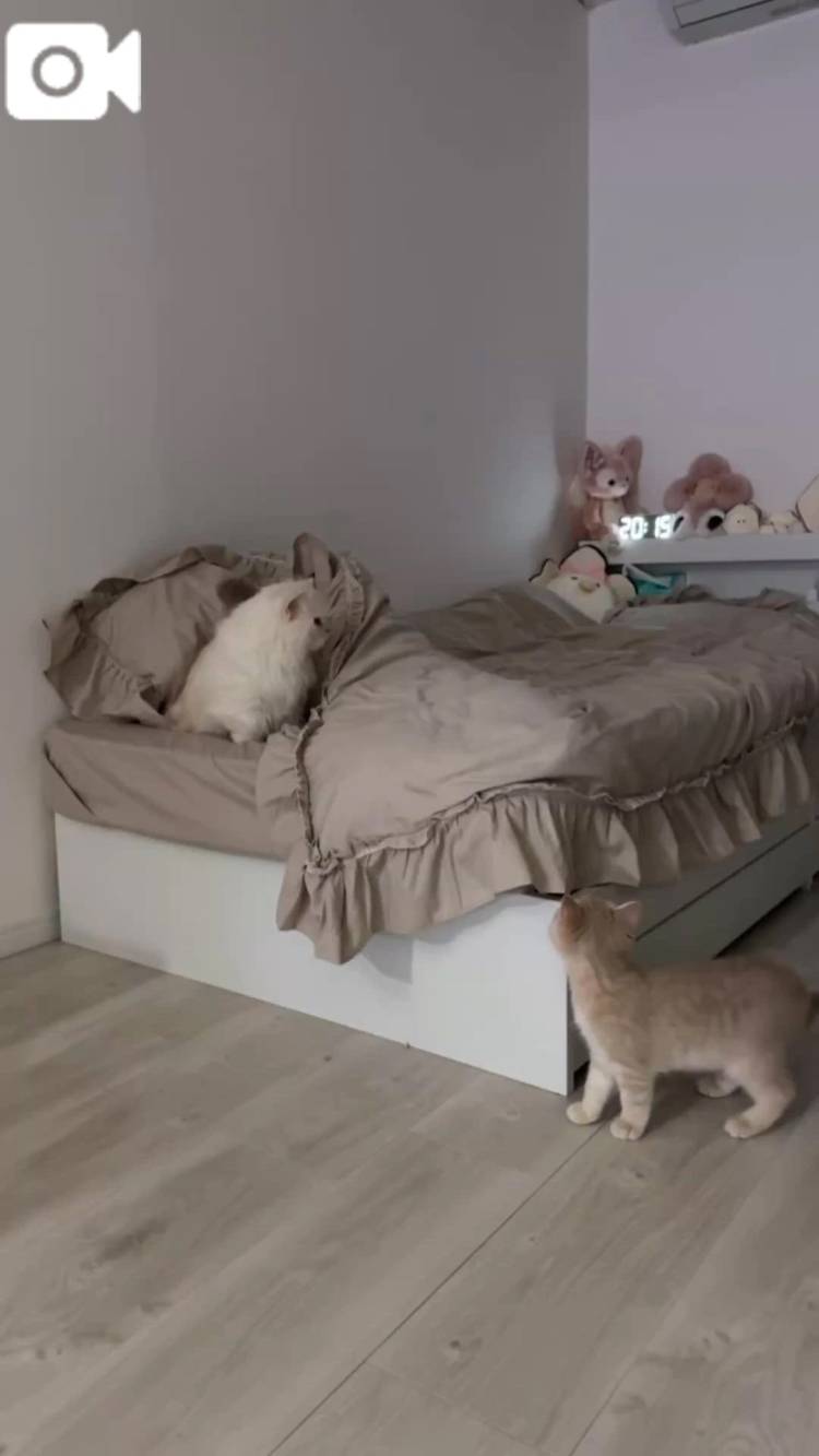 相性最悪⚡️⚡️