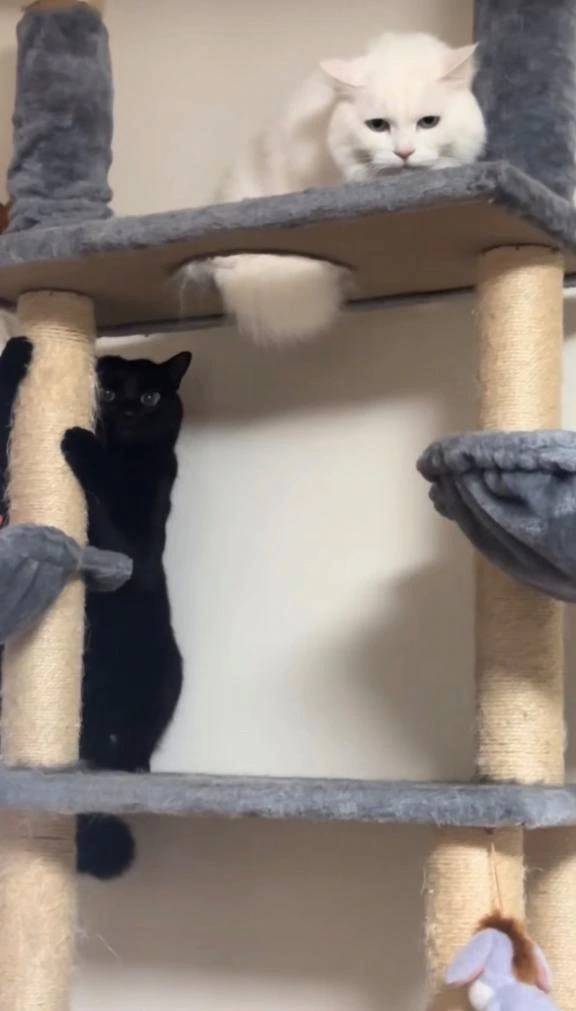 🫶🏻 沢山ありがとう 🫶🏻