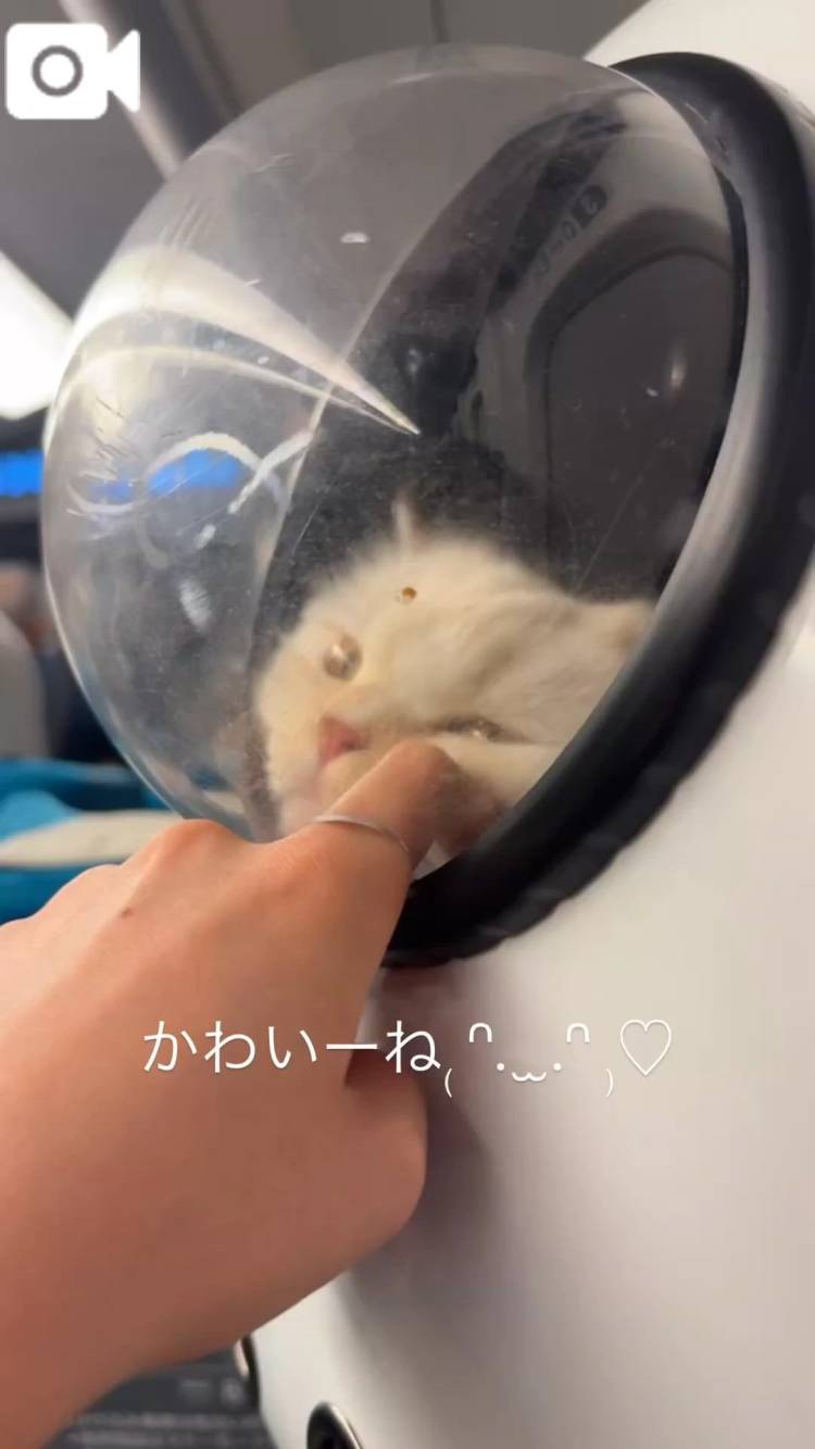 向かってリ
