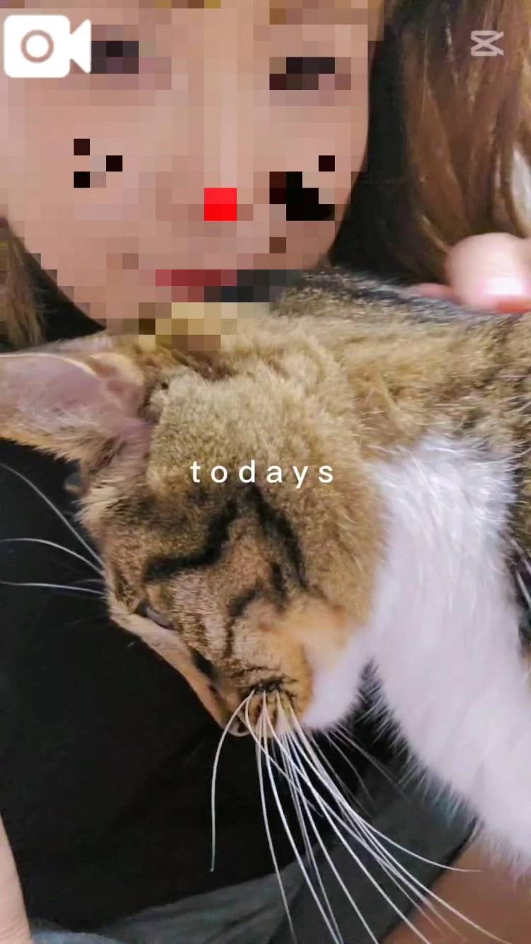 ととろ（・） __〒__ （・）