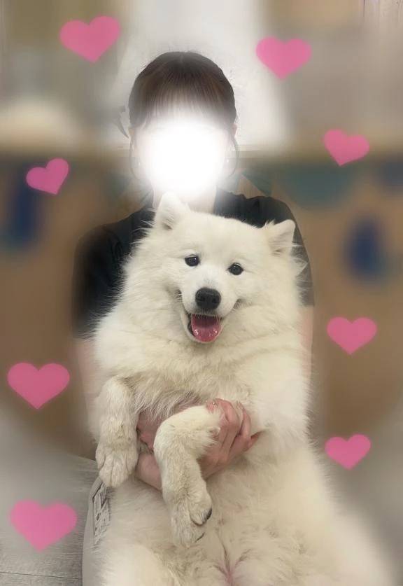 とある日の🐶💞