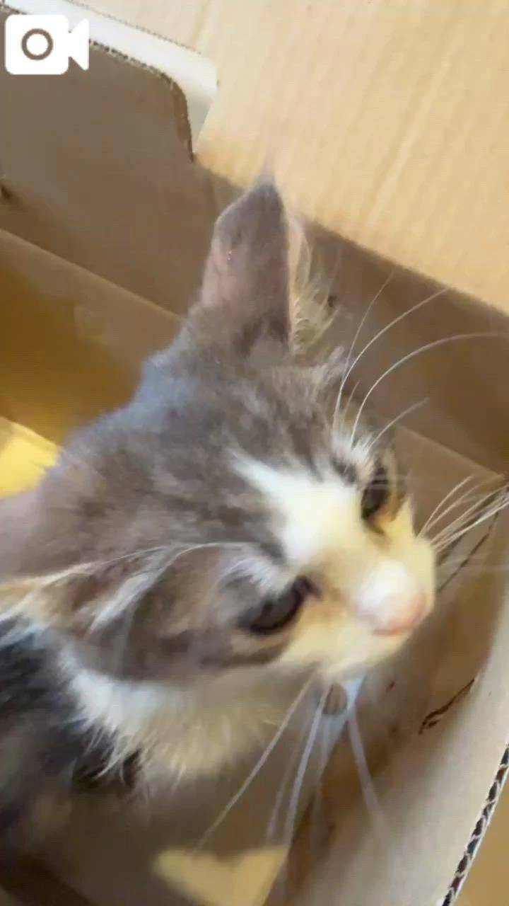 大土下座🙇‍♀️🙇‍♀️🙇‍♀️