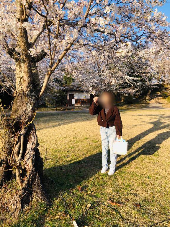 お花見…