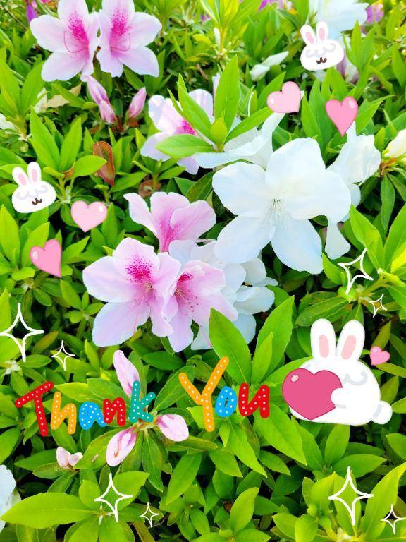 ◎4月、ありがとうございました◎