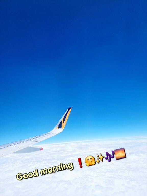 おはようございます♪︎♪︎
