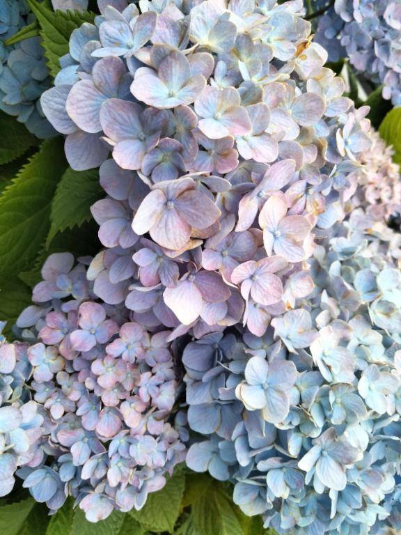 出勤しています♪新人