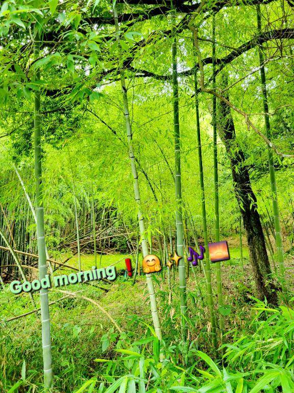 おはようございます☆