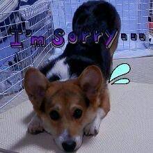 申し訳ございませんでした💔💦