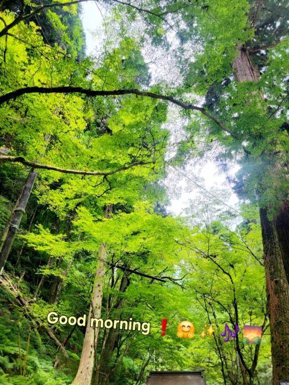 おはようございます♪︎♪︎