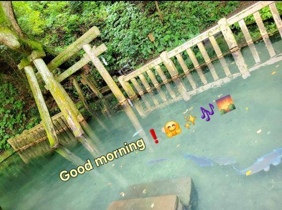 おはようございます♪︎♪︎