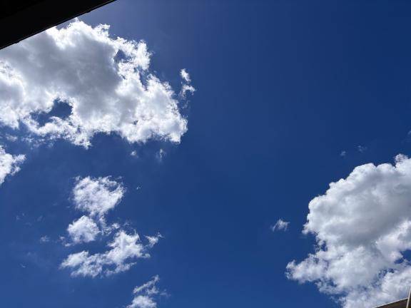 おはようございます☀️