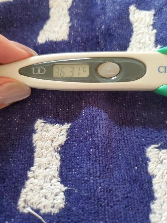 おはようございます👋😃☀️