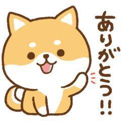 今日もありがとうございました♡