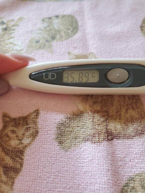 おはようございます👋😃