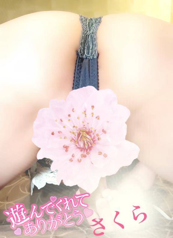 ☆一昨日のお礼です☆