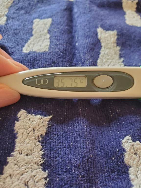 おはようございます👋😃☀️