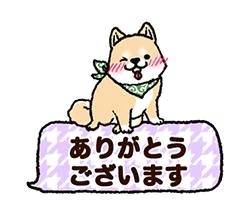 昨日も今日もありがとうございました♡