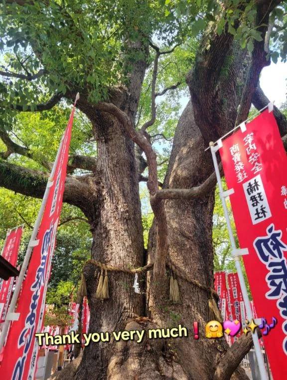 ◎ありがとうございました◎