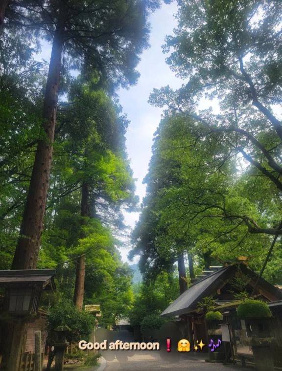 こんにちは♪︎♪︎