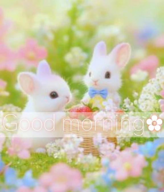 続きが気になっちゃう🤭💕