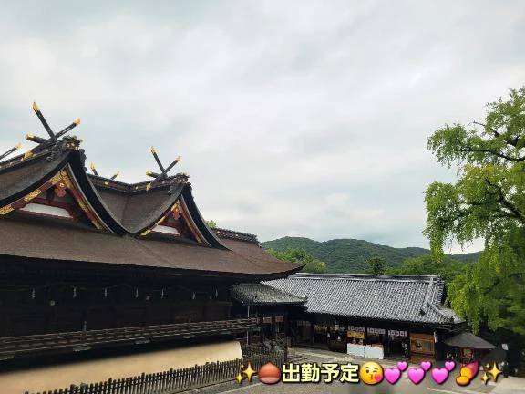 ◎出勤予定◎