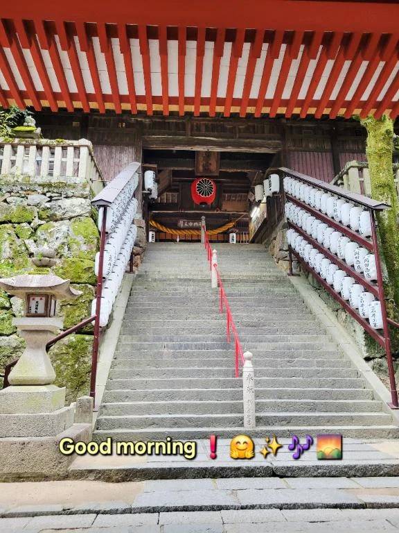 おはようございます♪︎♪︎