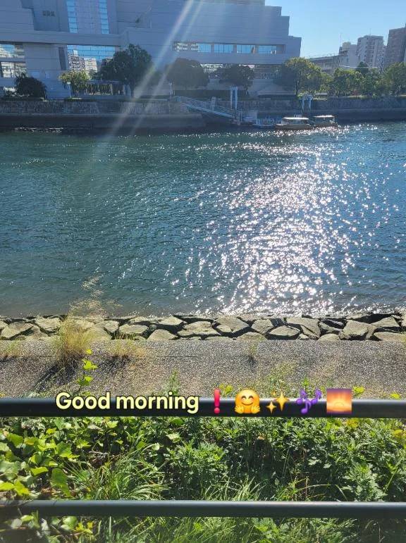 おはようございます♪︎♪︎