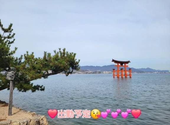 ◆11月前半の出勤予定◆