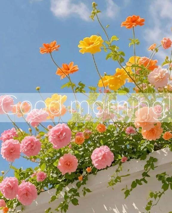 食の力はすごい🥞🍴☀️