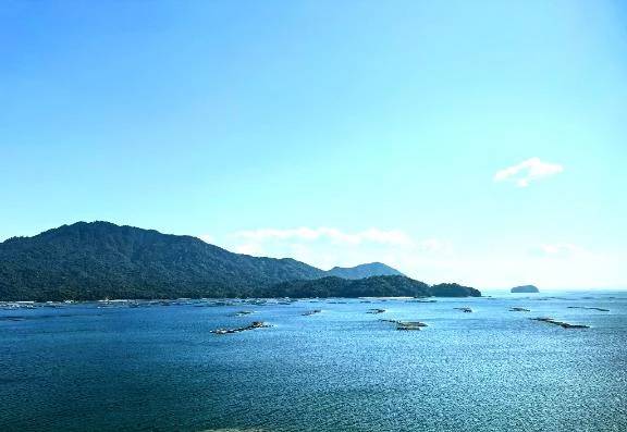 アリガトールのお客様へ♡