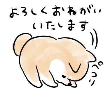 今日から11日まで🙇🏻