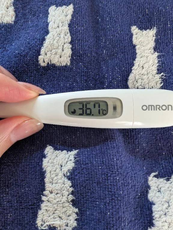 おはようございます😊