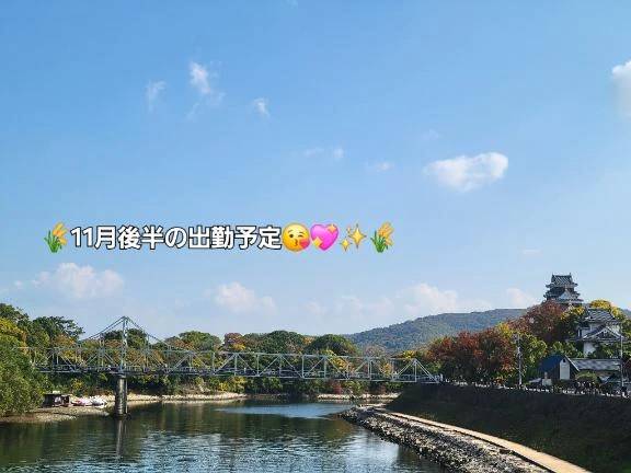 ☆11月後半の出勤予定☆