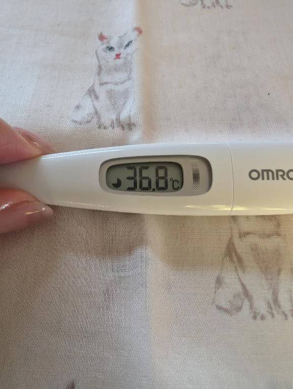 おはようございます😊